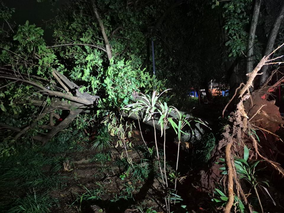 Foto 27 de 27 — Temporal volta a atingir Araraquara e provoca estragos em vários bairros; veja as fotos
